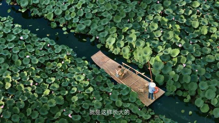 小米 · 生活总有新预期 画面 14